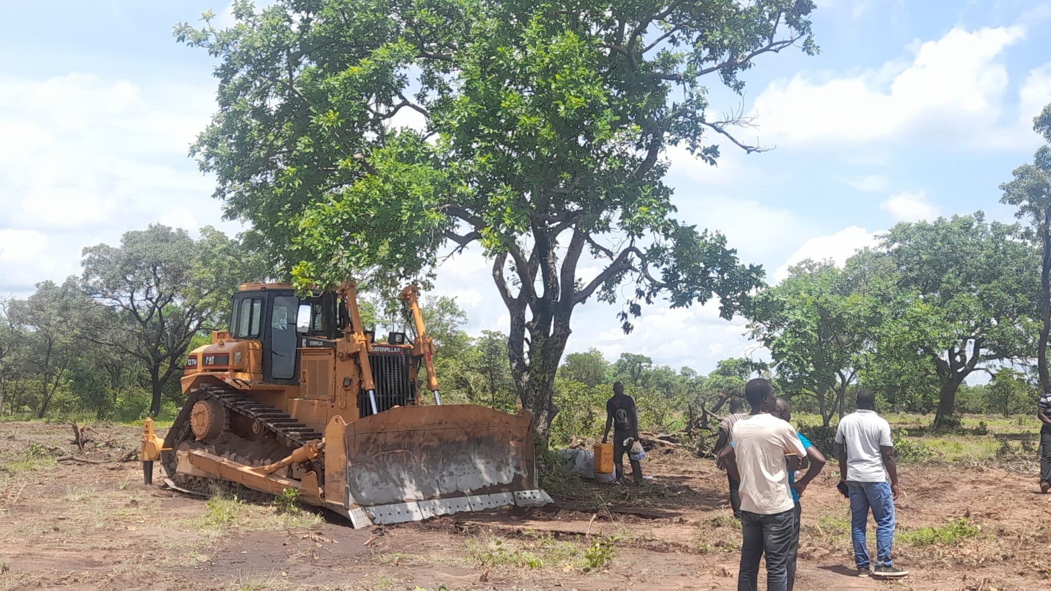 Anger as company clears 100-acre protected forest to produce beer