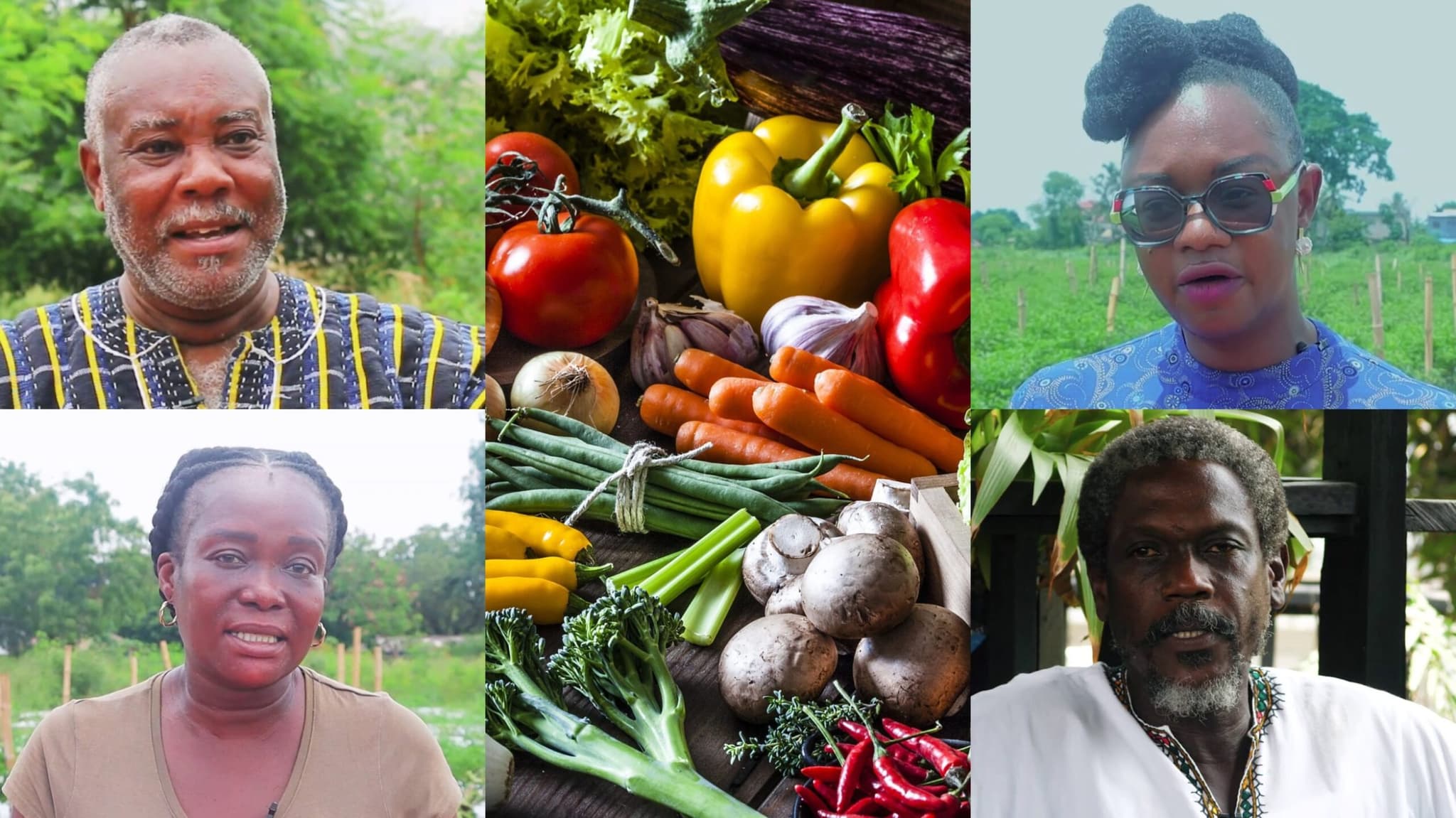 Experts urge government to encourage more farmers to adopt agroecology – FULL VIDEO