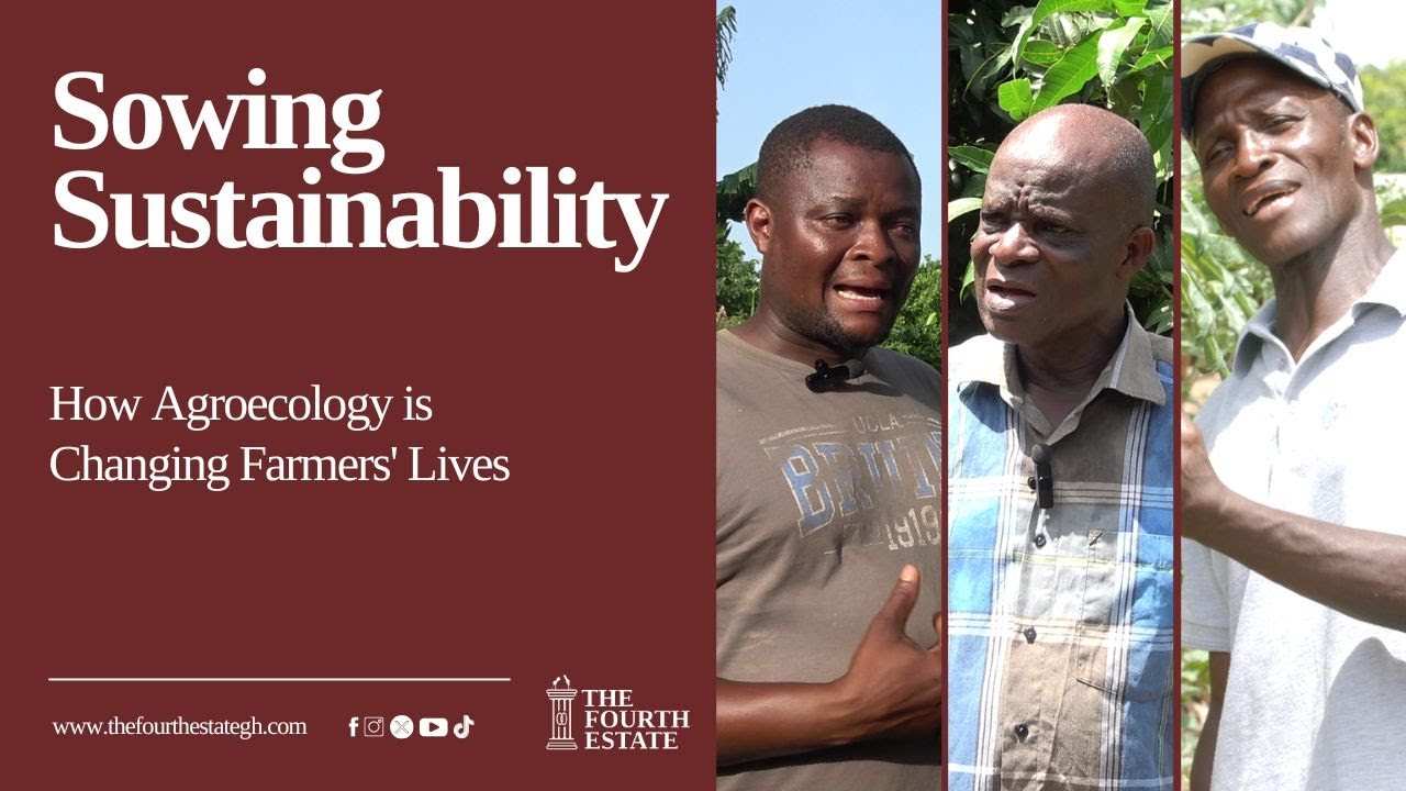 Sowing Sustainability: How Agroecology is Changing Farmers' Lives