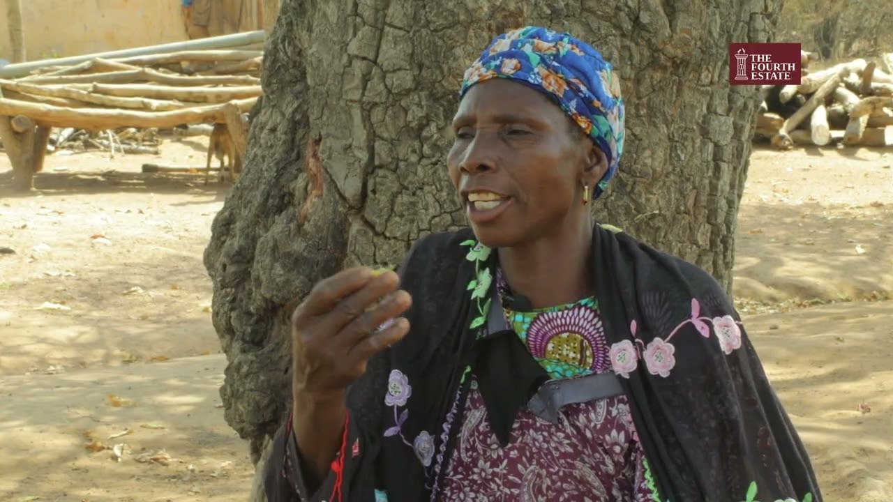 LOGGING INTO EXTINCTION - The story of the Rosewood Tree