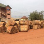 WhatsApp Image 2026 04 15 at 10.10.56 AM 1