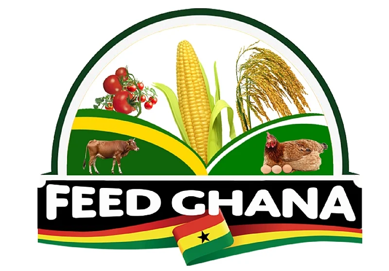 414202512832 8dt2xkjwvq feed ghana project